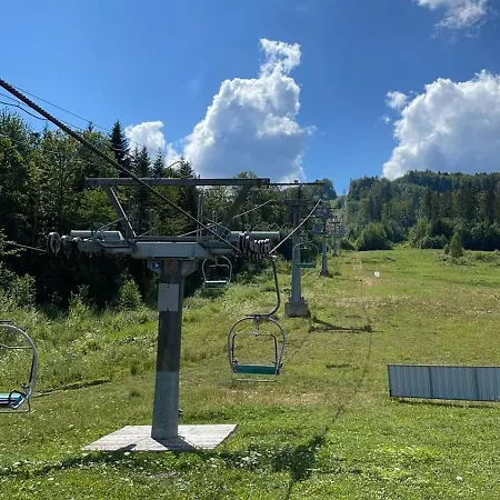 шаленарозі