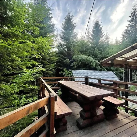шаленарозі Lodge Migovo