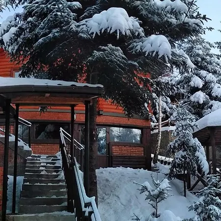 шаленарозі