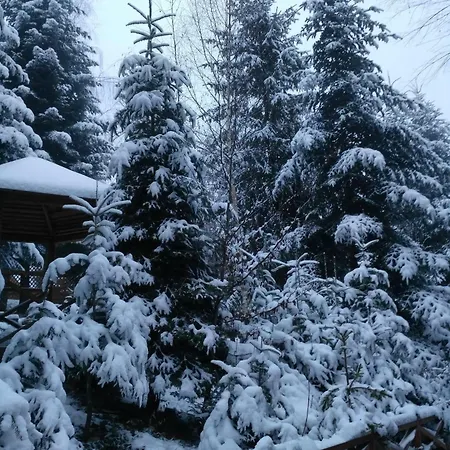 шаленарозі Jaktstuga