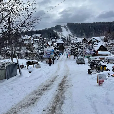шаленарозі * Myhove