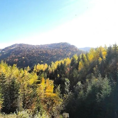 шаленарозі Lodge