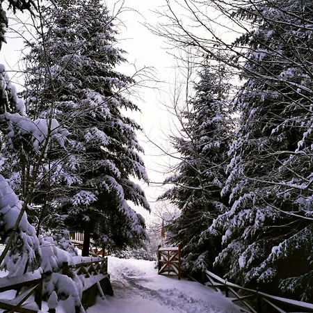 Lodge шаленарозі *