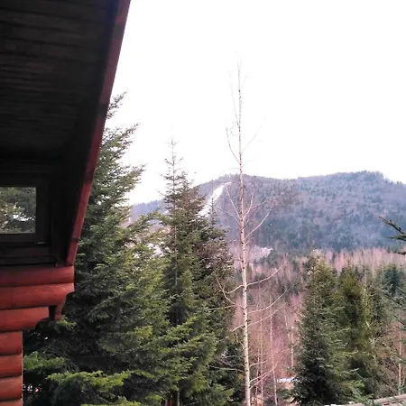шаленарозі Lodge Myhove