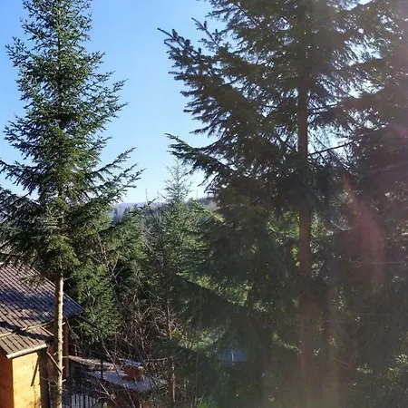 шаленарозі Lodge *